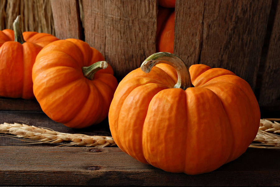 Homeowner's Insurance Alaska