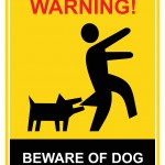 How to Prevent a Dog Bite Claim in Anchorage, AK
