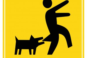 How to Prevent a Dog Bite Claim in Anchorage, AK