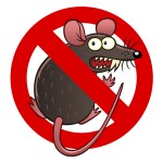 What to do if a rodent makes a nest in your car in Anchorage, AK