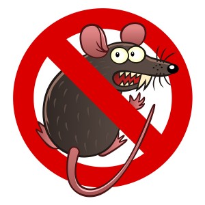 What to do if a rodent makes a nest in your car in Anchorage, AK