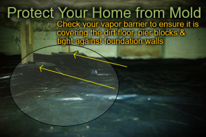 How to Prevent Mold in Your Home or Condo in Anchorage, AK