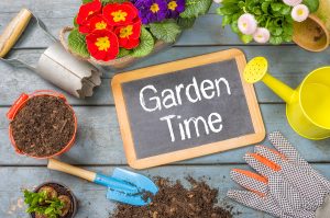How to prepare a home garden in Anchorage, AK