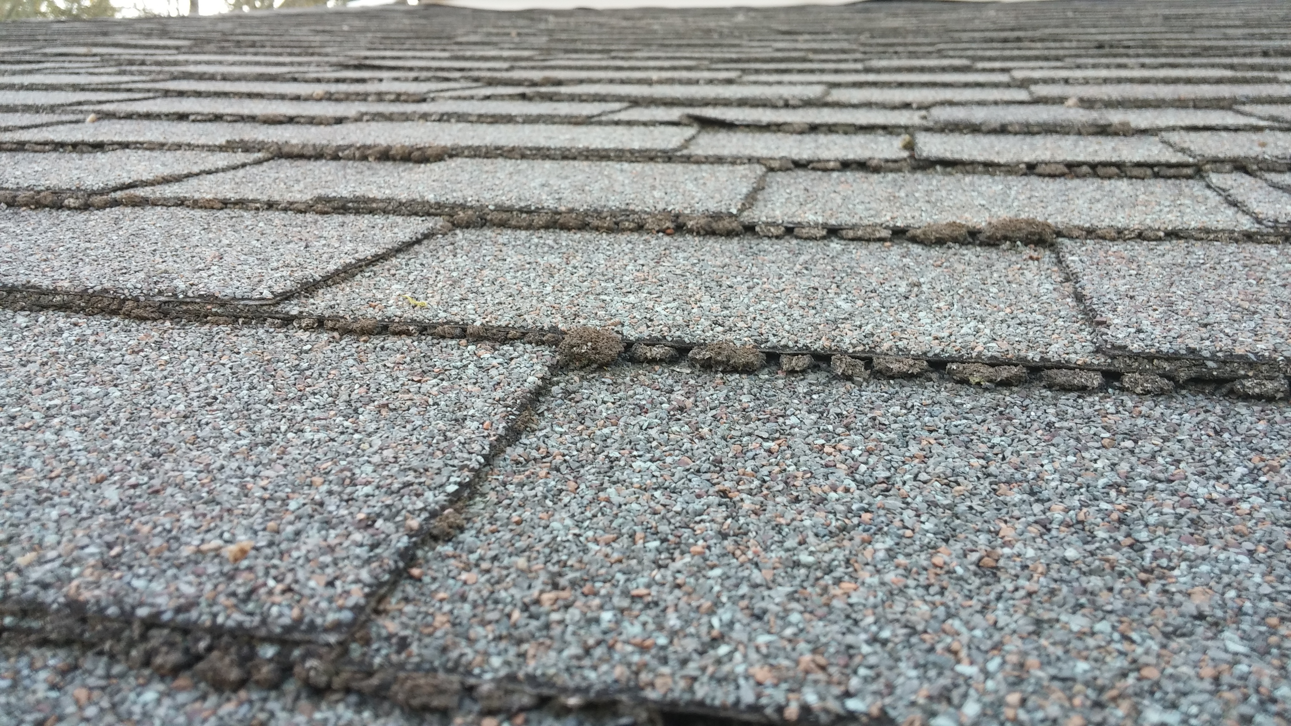 How to inspect a roof for damage in Anchorage, AK