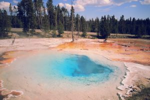 Top National Parks to Visit Each Year