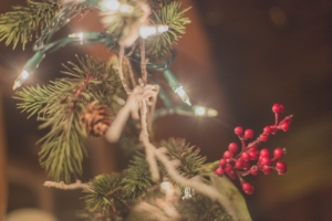 Holiday Safety Tips Alaska Service Agency in Anchorage, Alaska